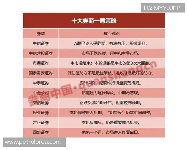 深入分析上海网球队防守策略与战术特点的专业解读