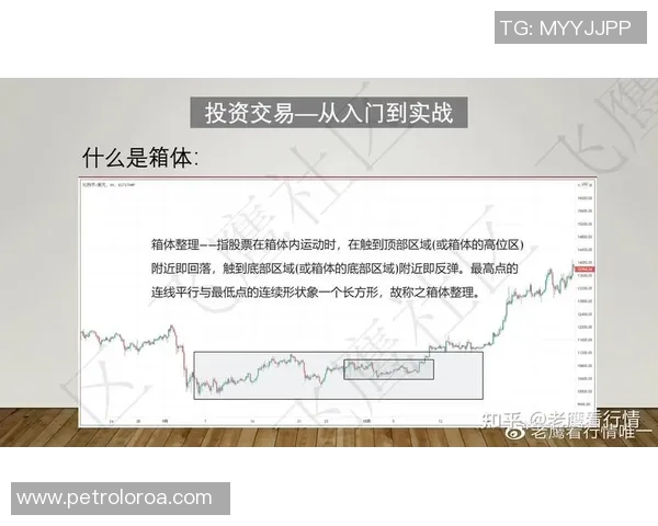 深入分析北京羽毛球队防反战术的独特魅力与实战应用
